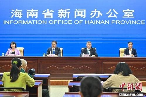 海口新闻头条,聚焦城市发展与民生改善新动态